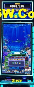VIP Casino Gtwin